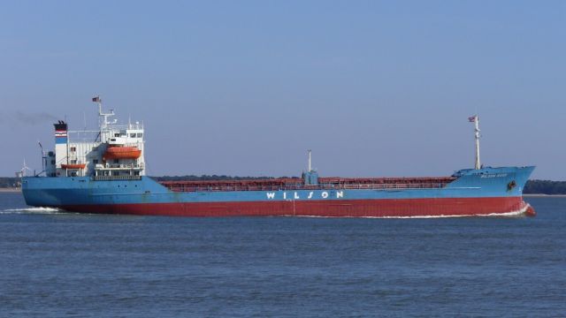 Wilson Ross - Estuaire Loire - 30 juin 2010 (02).JPG